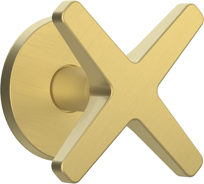 T2007-TCOX-BGM