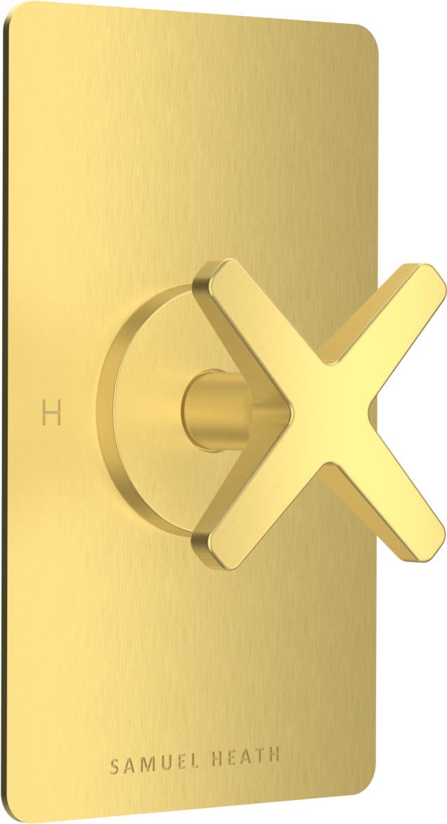 T2101-TCOX-BGM