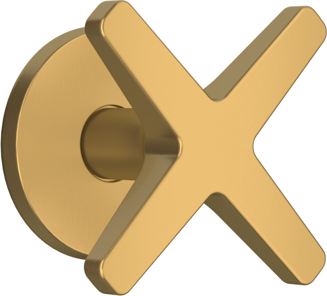 T2168-TCOX-ABM