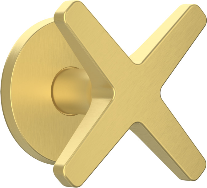 T2168-TCOX-BGM